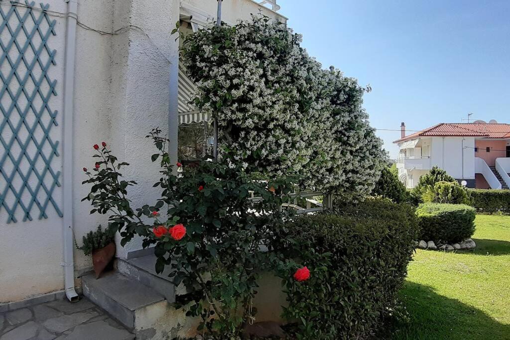 Вилла Kleo House Kalives Polygyros Halkidiki Kalyves Polygyrou Экстерьер фото